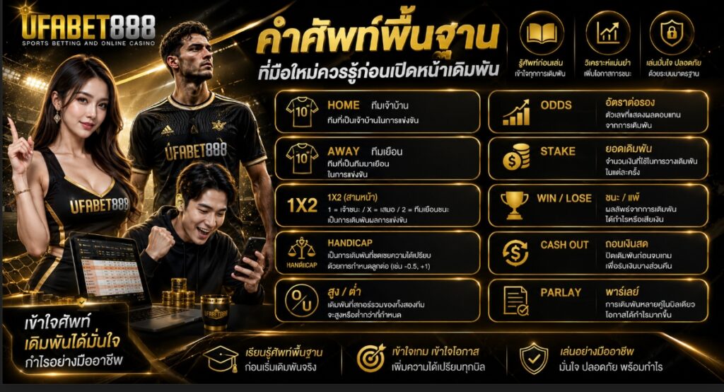 มือใหม่ แทงบอลออนไลน์